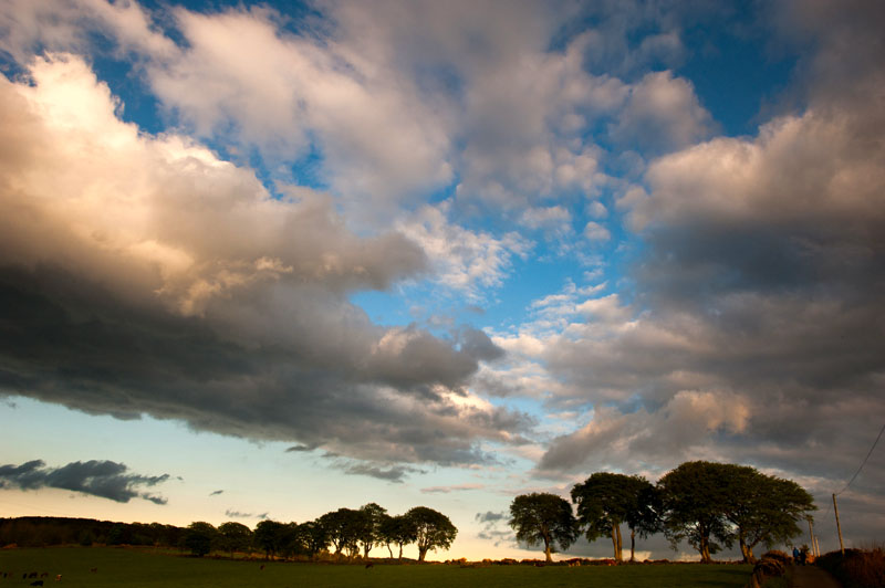 DSC_5205-001.jpg