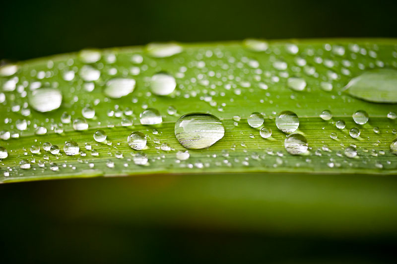 28th August 2016 <br> rain stopped