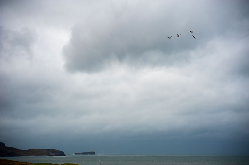 28th December 2016  An Garbh-eilean