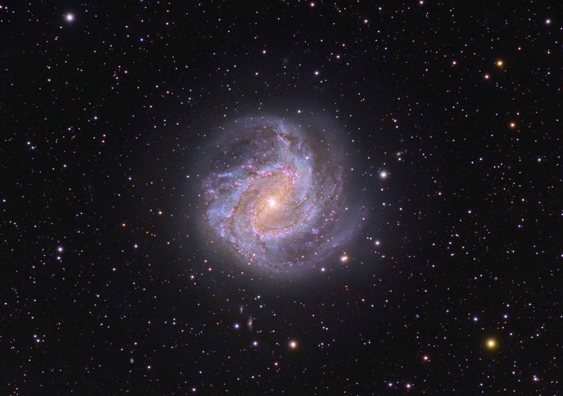 M83