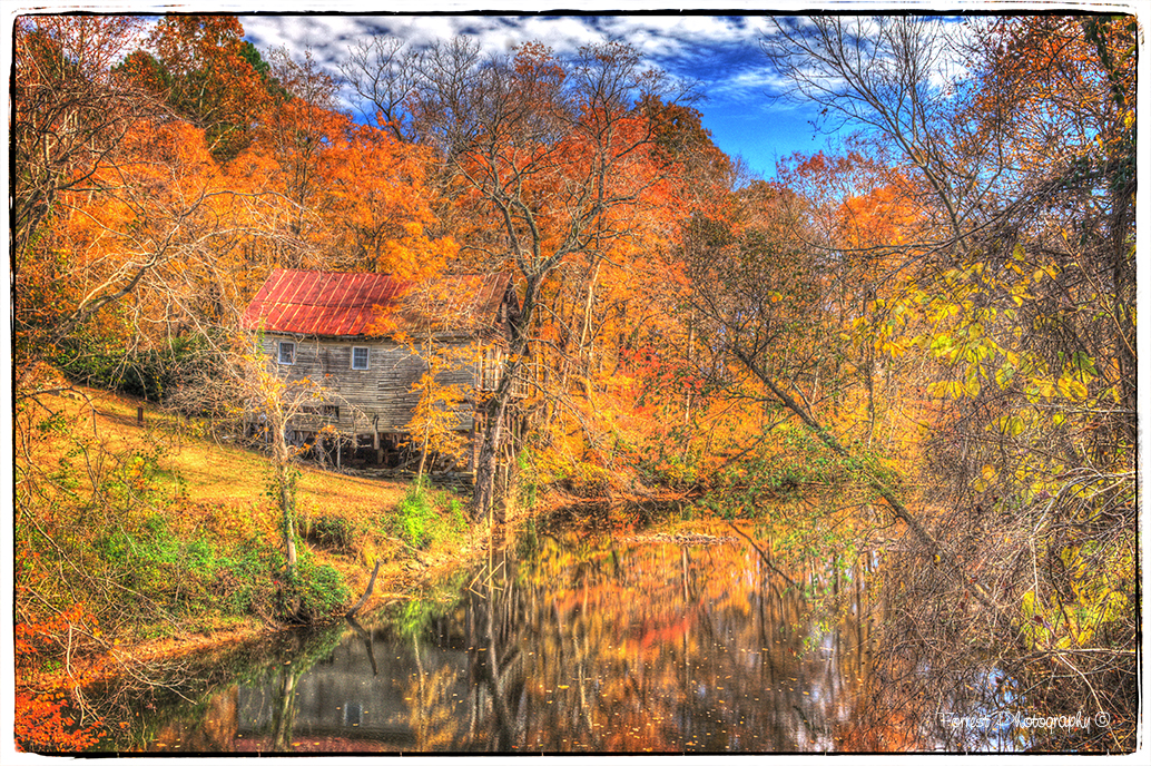 Fall At Old Mill