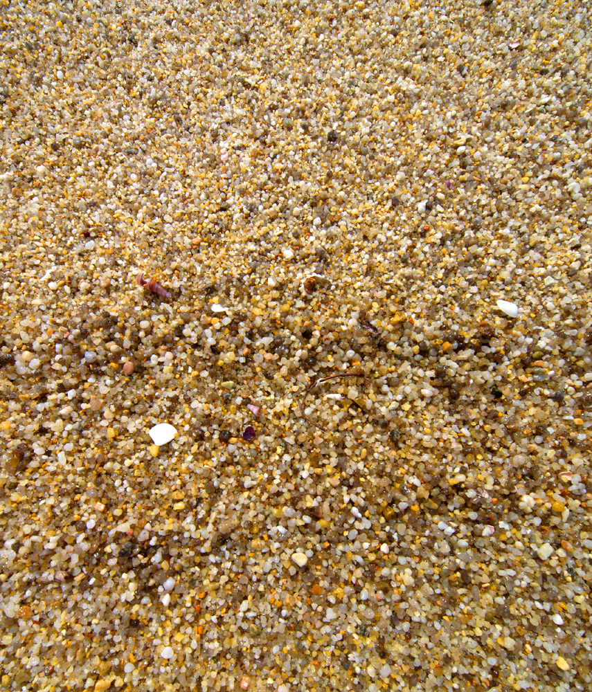 P2218983_4w.jpg