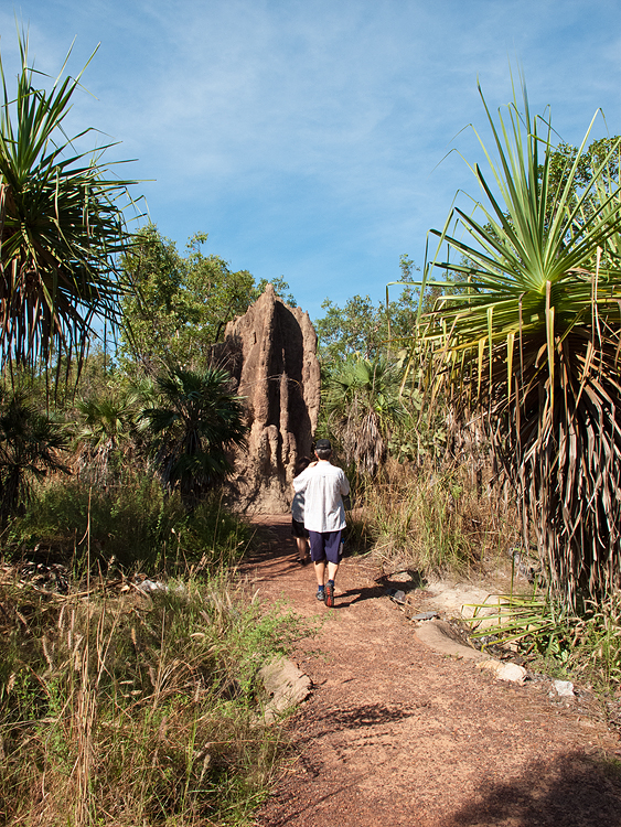 Termite Mounds