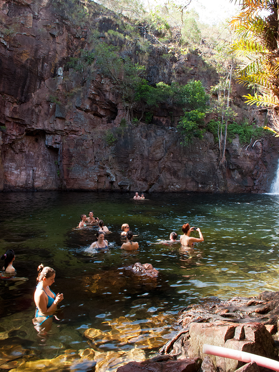 Swimming at Florence Falls