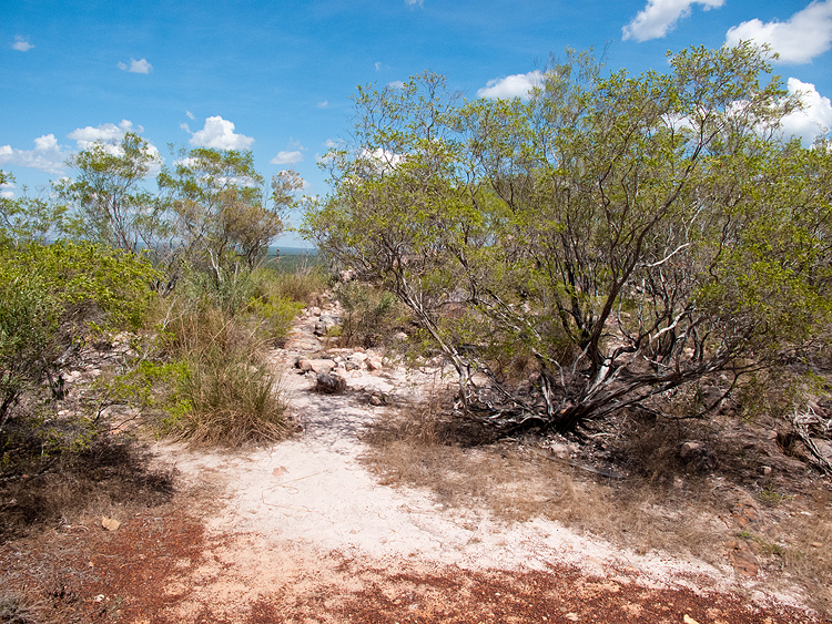 The walk to Tolmer Falls