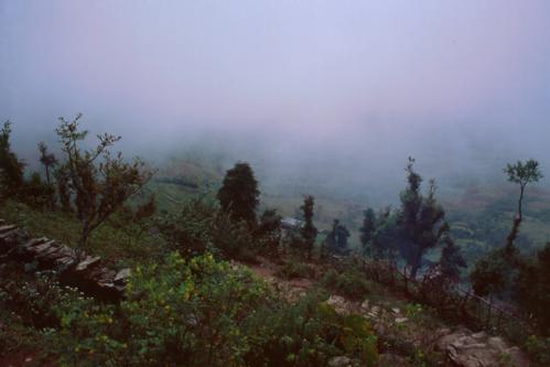 1997021072 Misty Durali to Bhandar.jpg