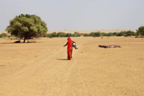 2014079077 Woman Thar Desert.JPG