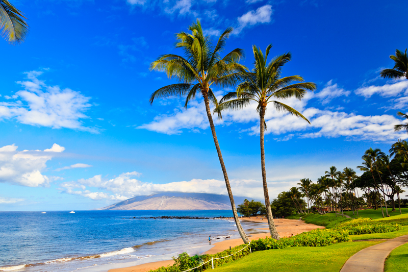 Wailea 37785