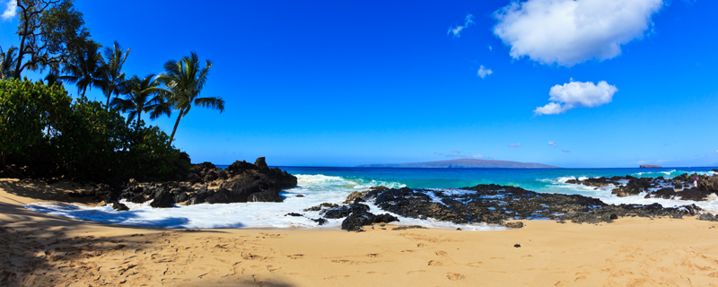 Makena Cove 36183.jpg