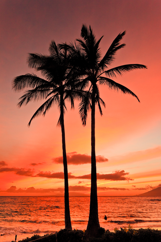 Wailea 39935