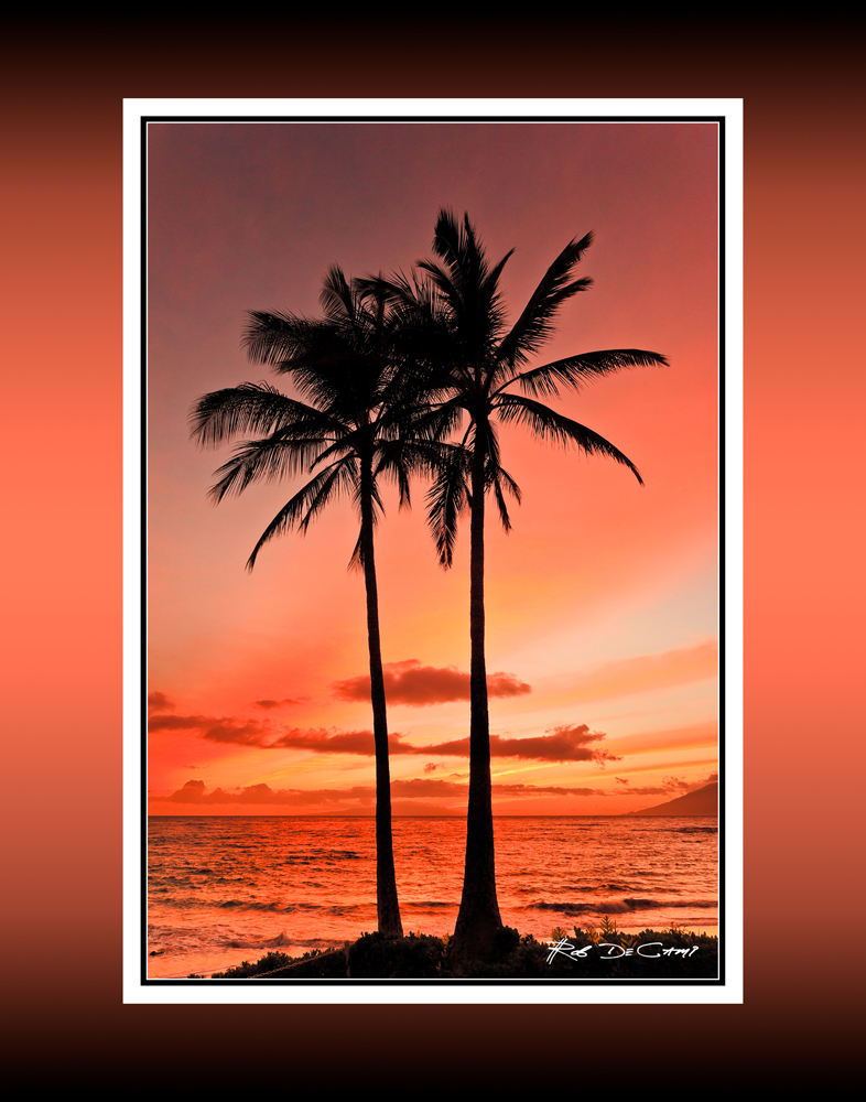 Two palms at sunset RD-704 39935 BC CT .jpg