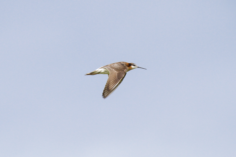 low res _MG_0616.jpg