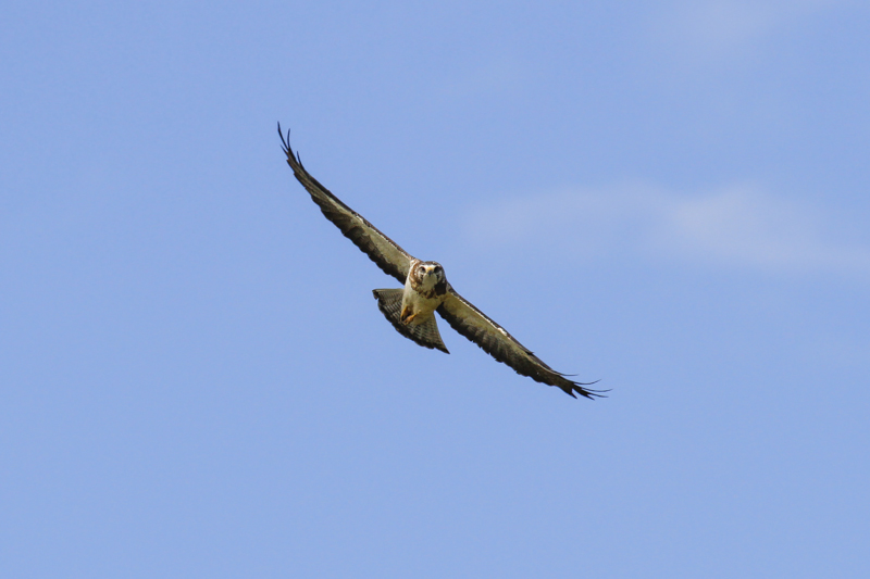 low res _MG_1808.jpg