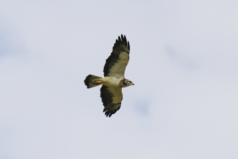low res _MG_1809.jpg
