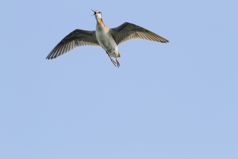 low res _MG_1958.jpg