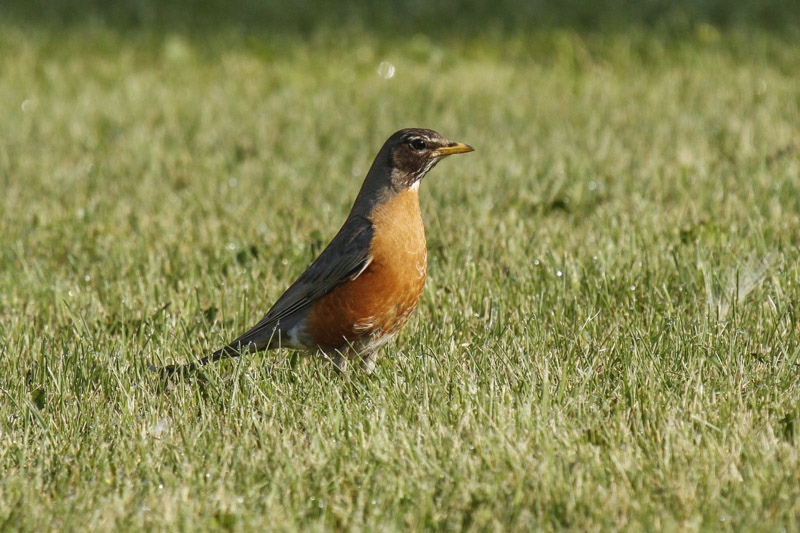 low res _MG_3534.jpg