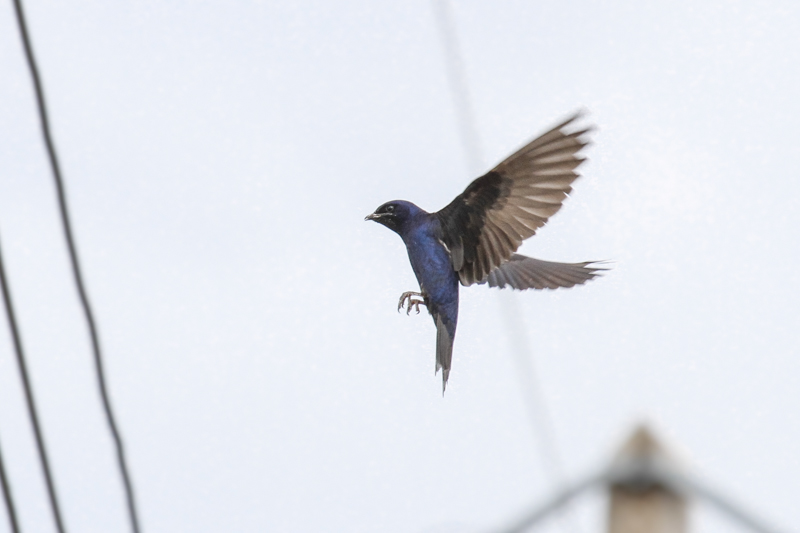 low res _MG_4338.jpg