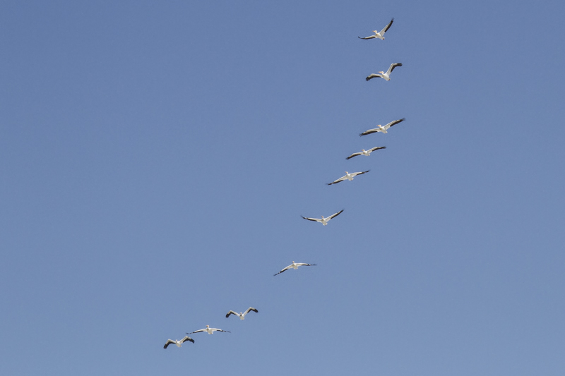 low res _MG_4400.jpg
