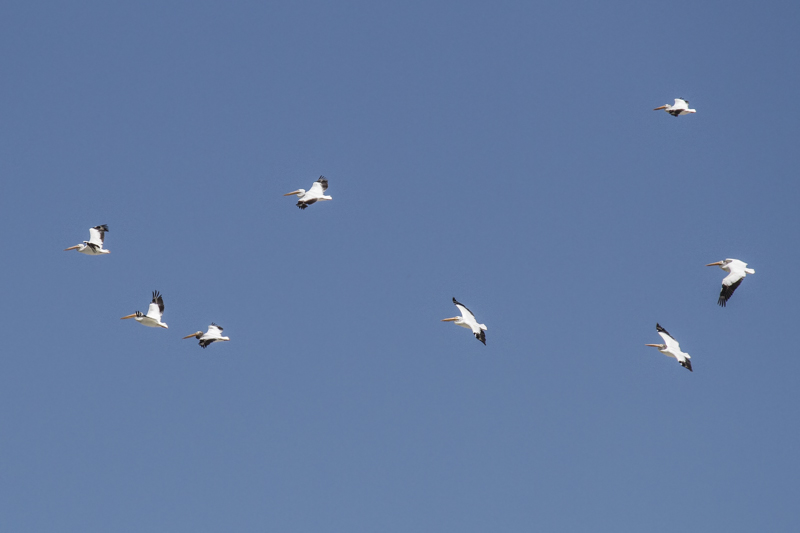 low res _MG_4406.jpg