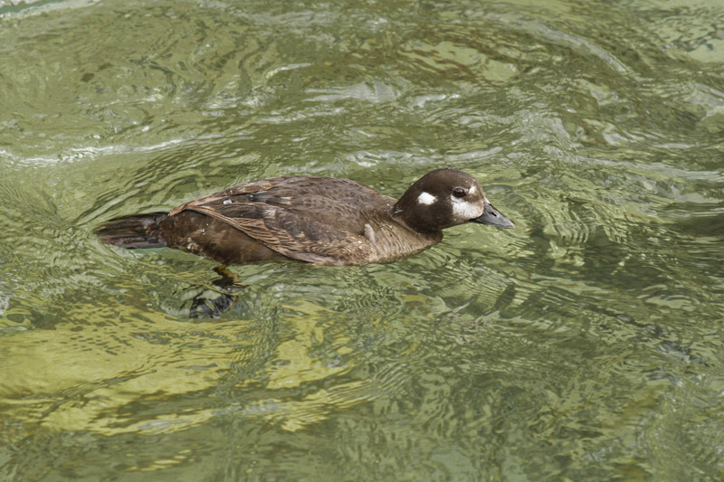 low res _MG_4637.jpg