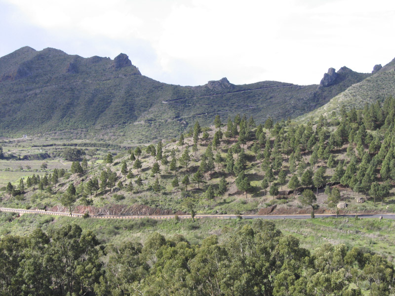 low res Landscape of North-west Tenerife not reduced.jpg