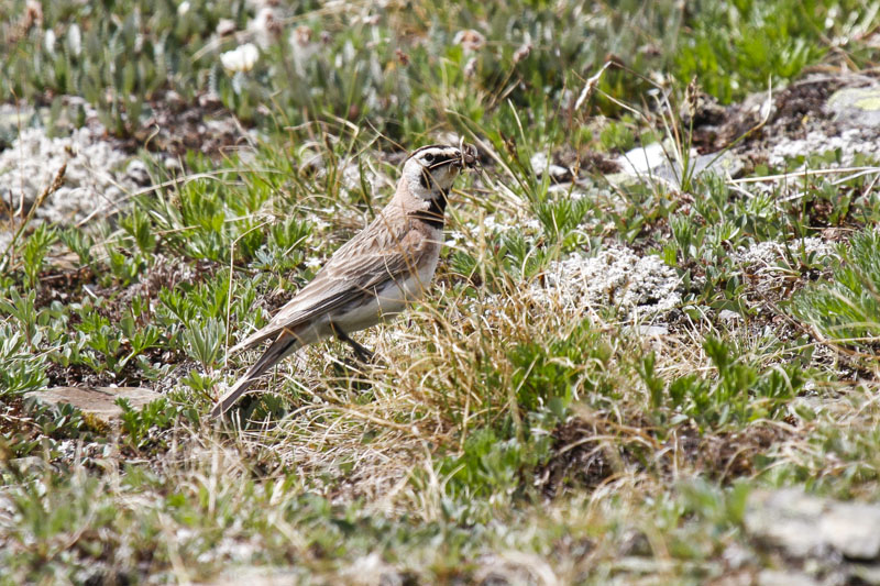 low res _MG_5042.jpg