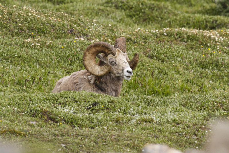 low res _MG_5651.jpg
