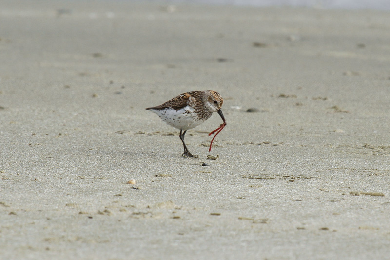 low res _MG_7665.jpg