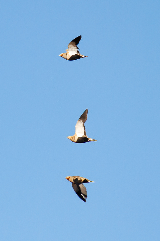 low res _MG_0834.jpg