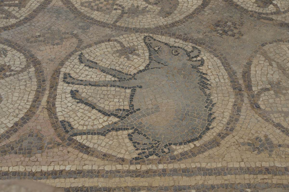 Jordan Petra 2013 2293 Byzantine Church mosaic.jpg