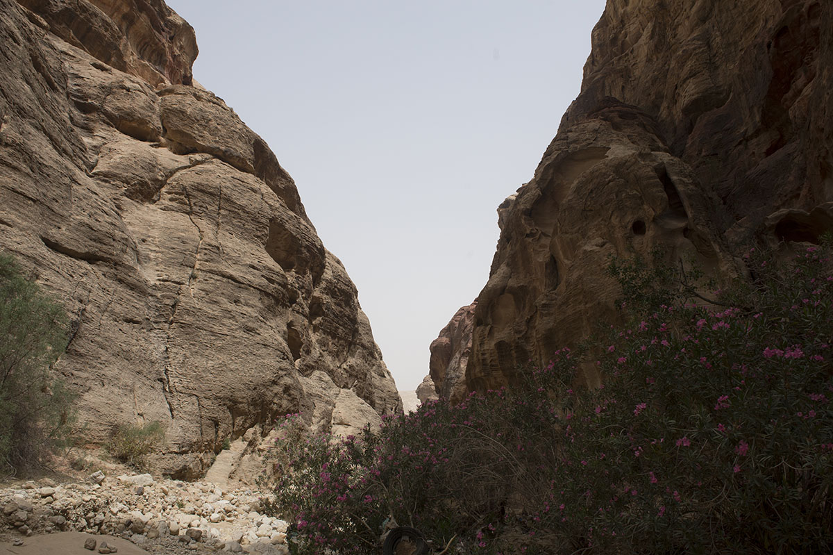 Jordan Petra 2013 2147 Wadi Muthlim.jpg