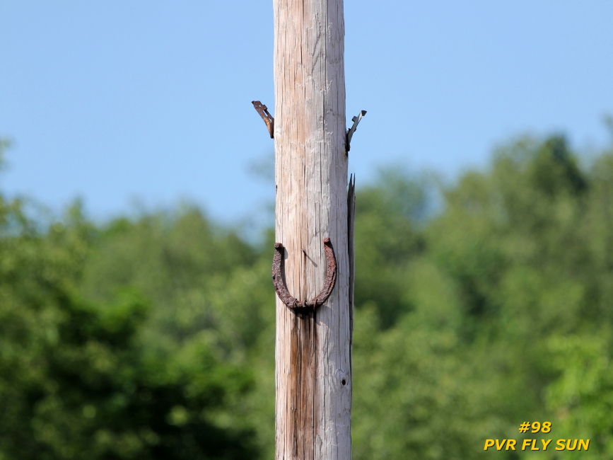 IMG_8065_PVR_GOOD_LUCK.JPG