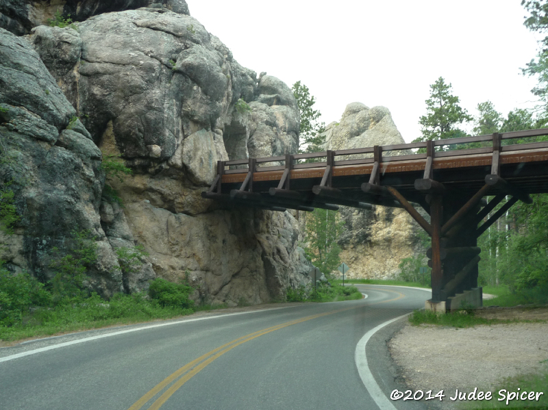Pigtail Bridge