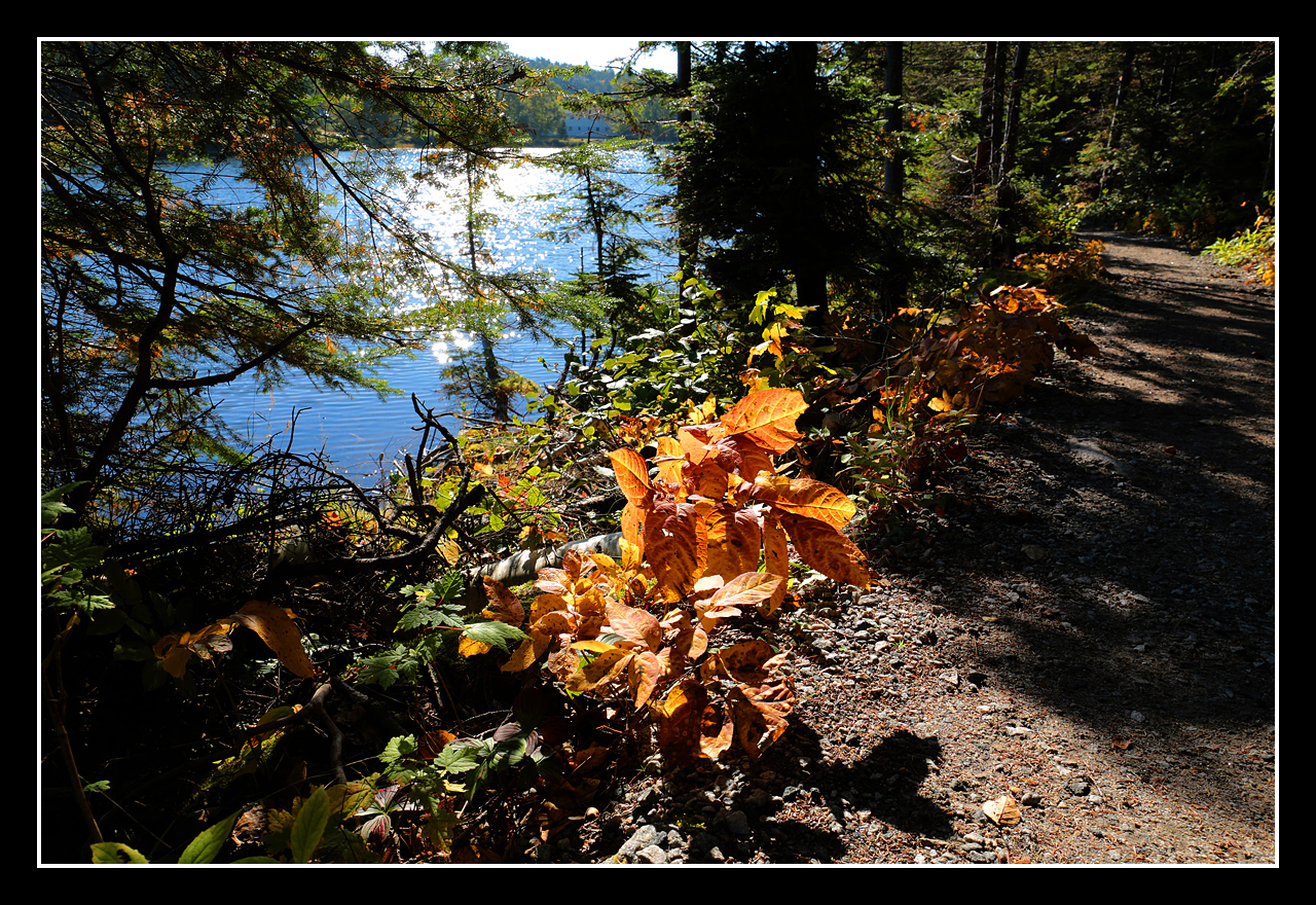 Lac de lAnse  leau