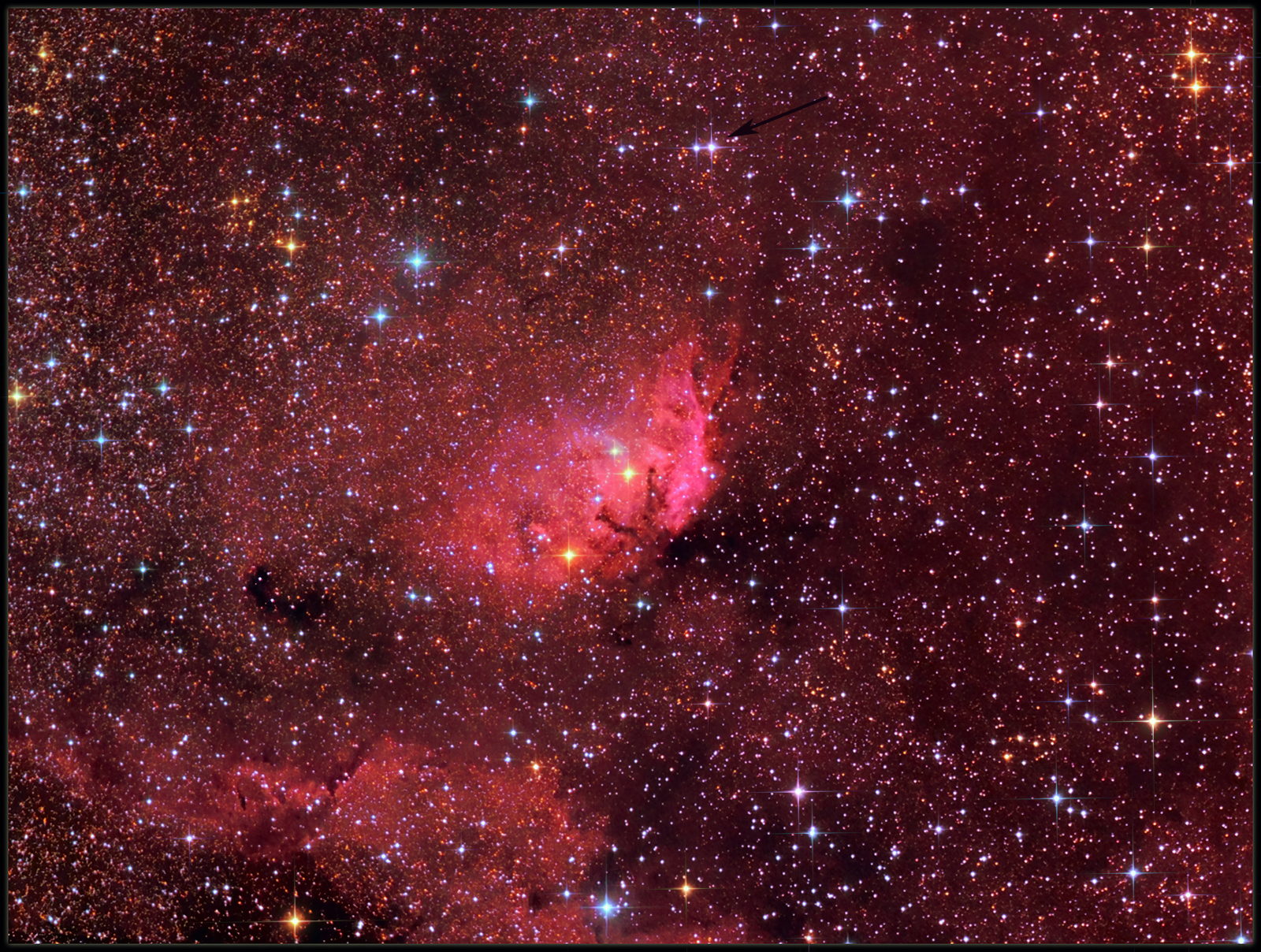 TULIP NEBULA and Cygnus X1