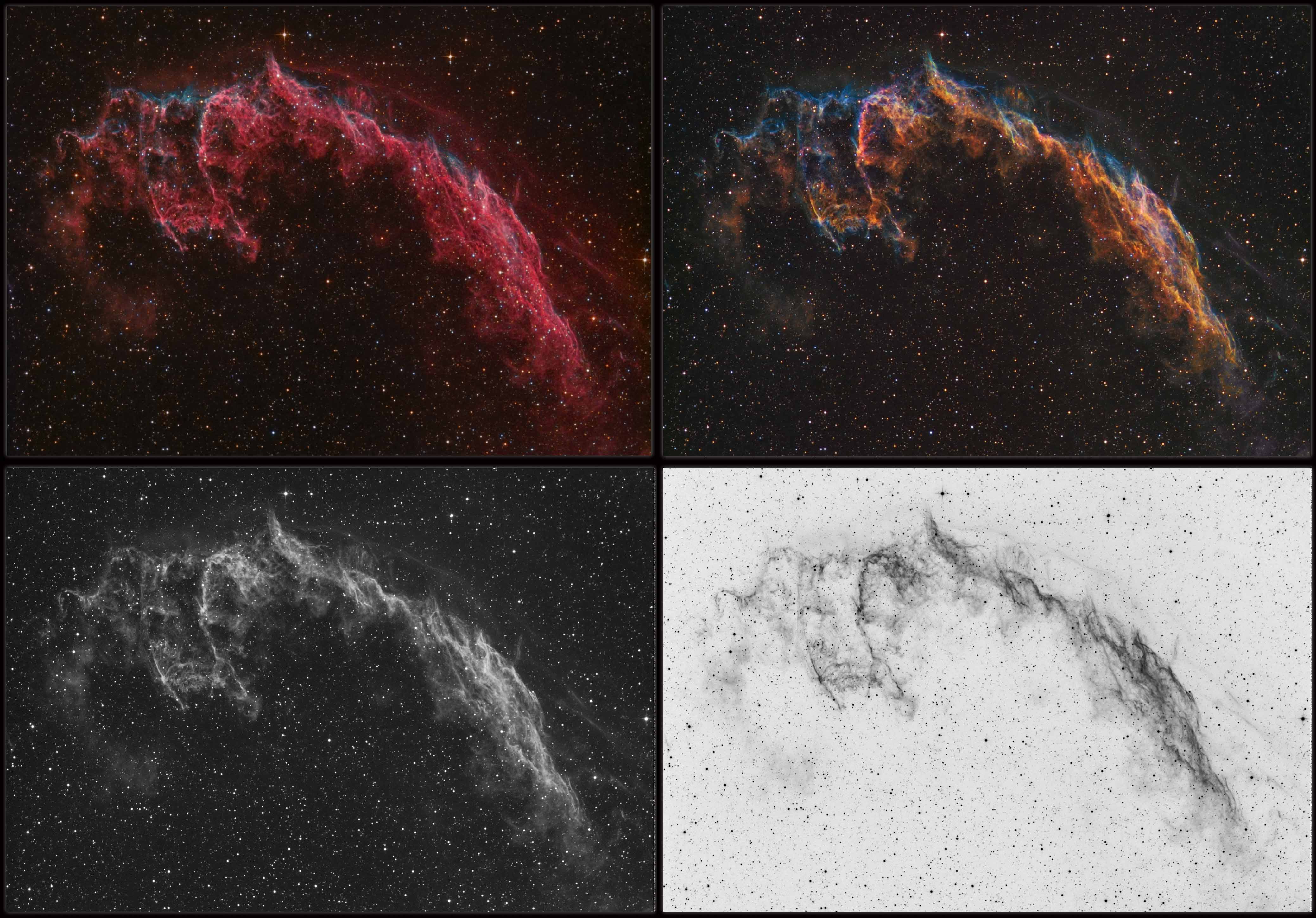 4 Panel comparison for the Veil