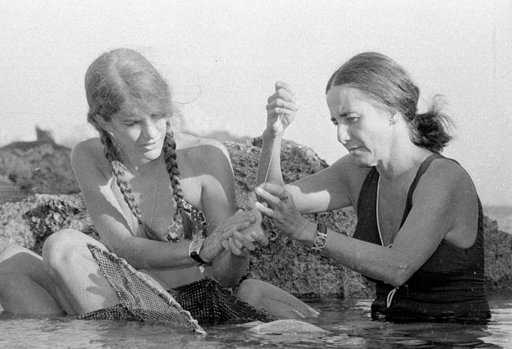Genie Eilat 1972 Shark Proof Flounder NatGeo  