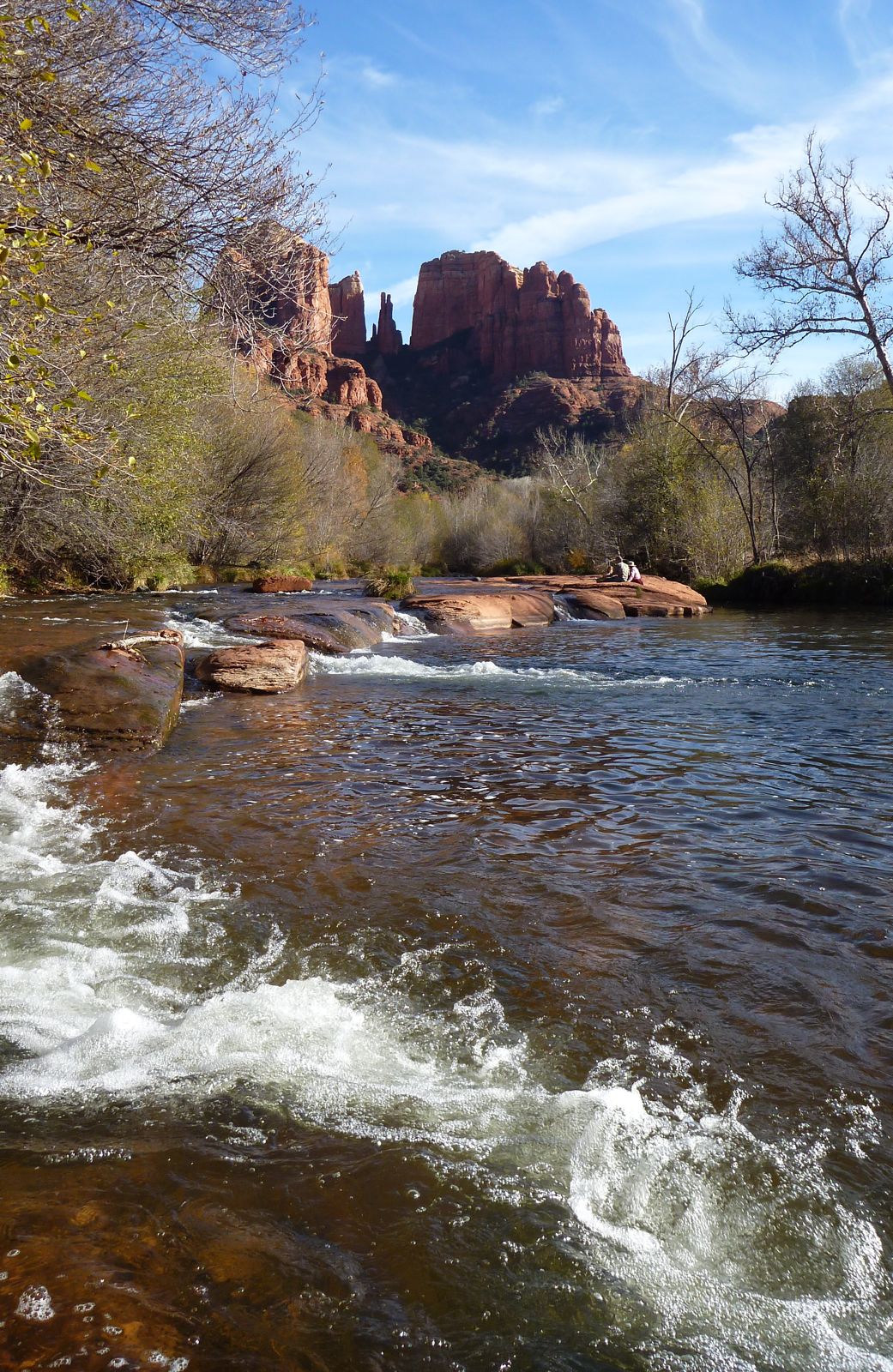 P1020867.jpg