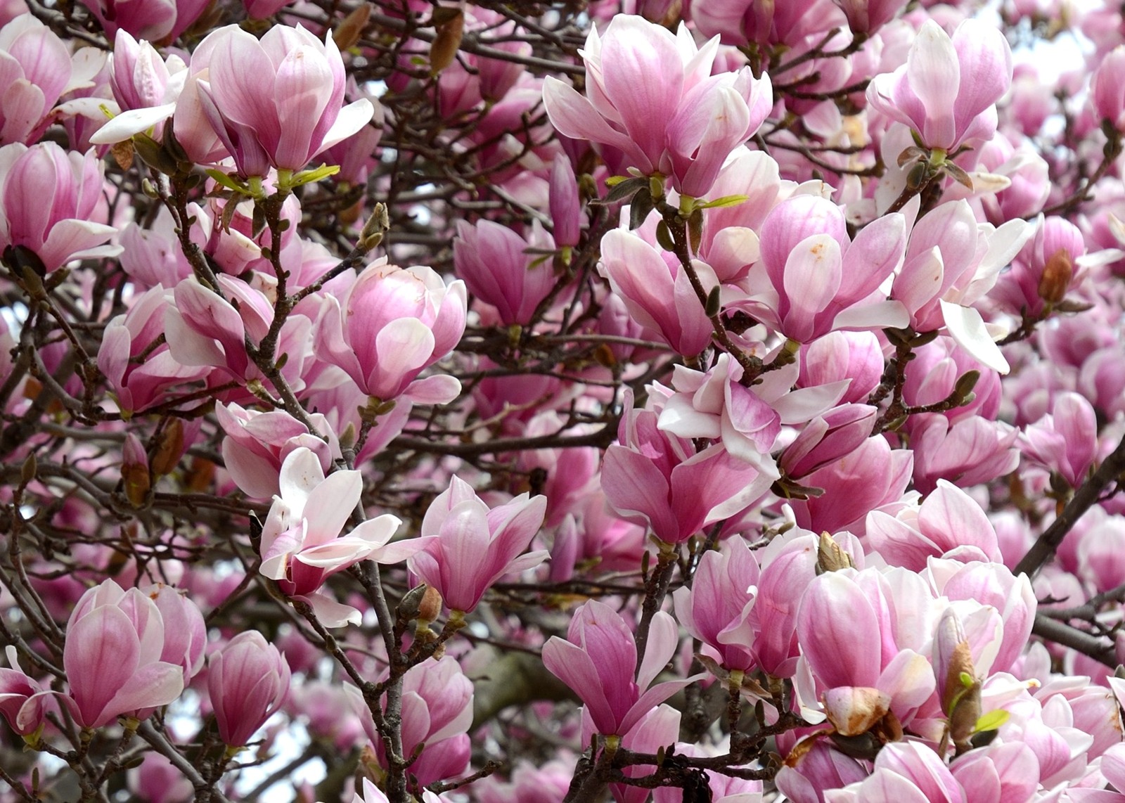 AAA_0321.jpg
