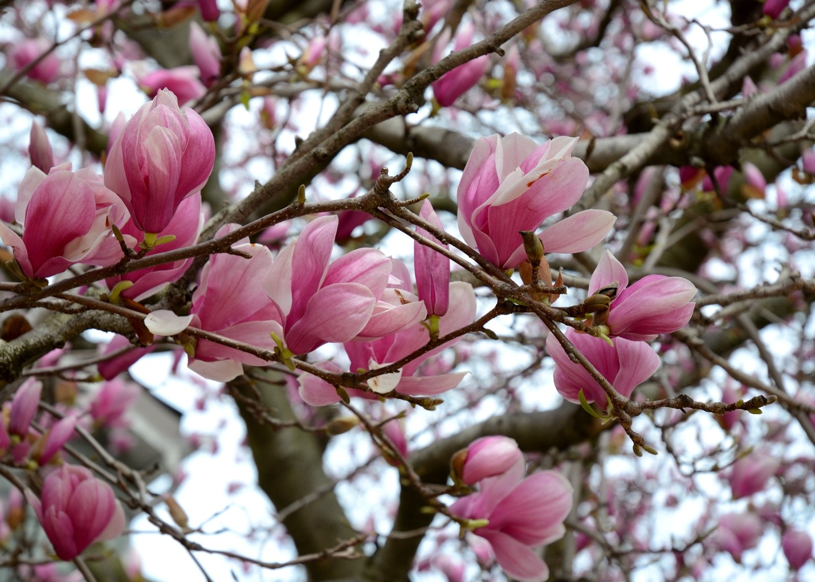 AAA_0325.jpg