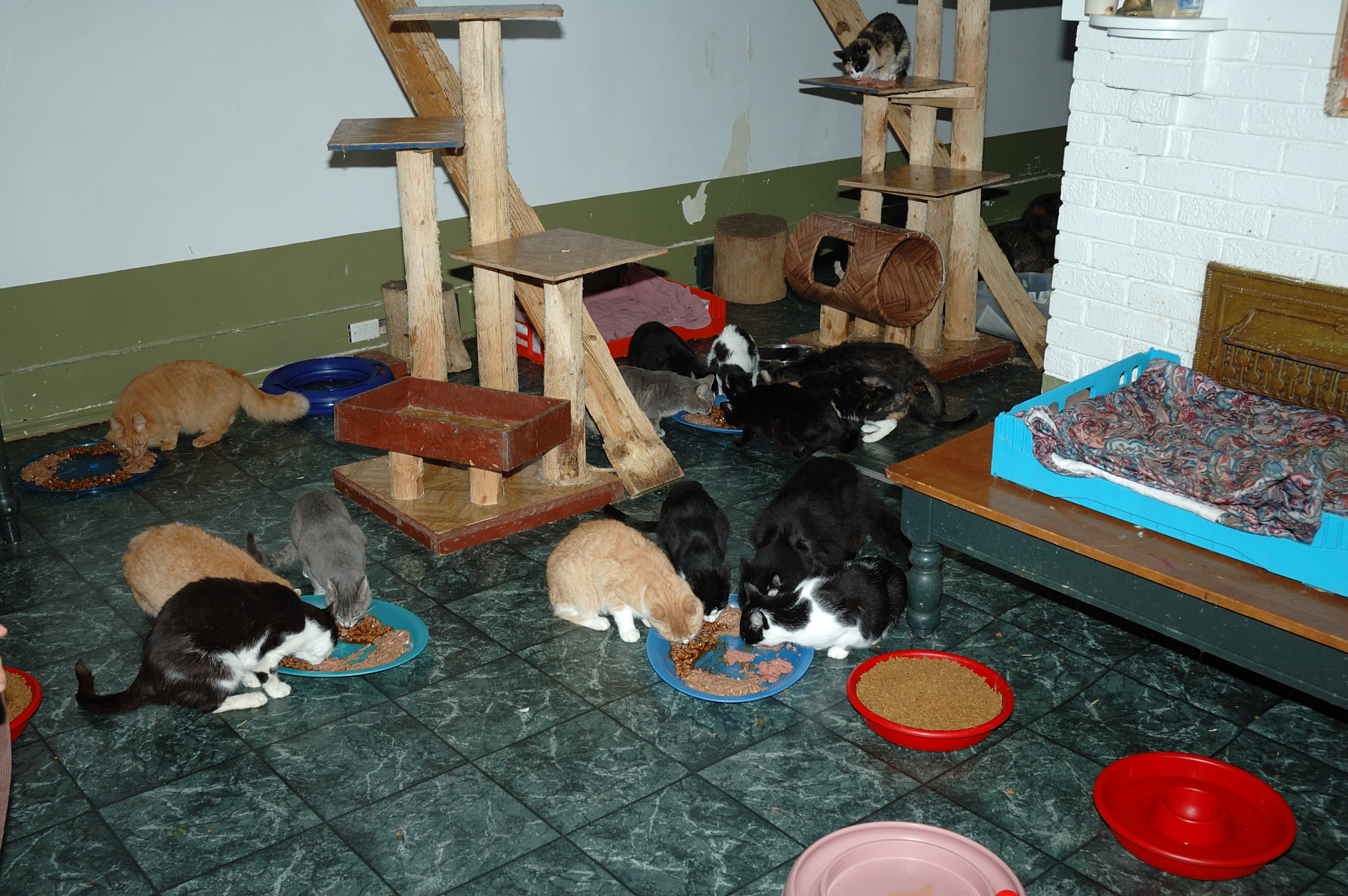 DSC_5439.JPG