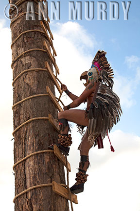 Eagle Voladore climbing pole