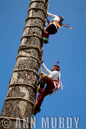 Climbing up the pole