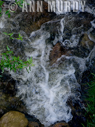 The Acequia Madre