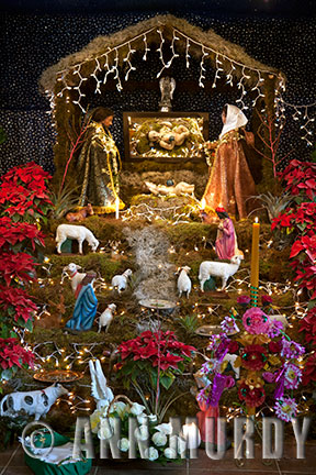 Posada Altar with Baby Jesus<meta name=pinterest content=nopin />