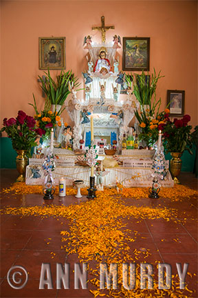 Altar for Toms Cruz Rosario