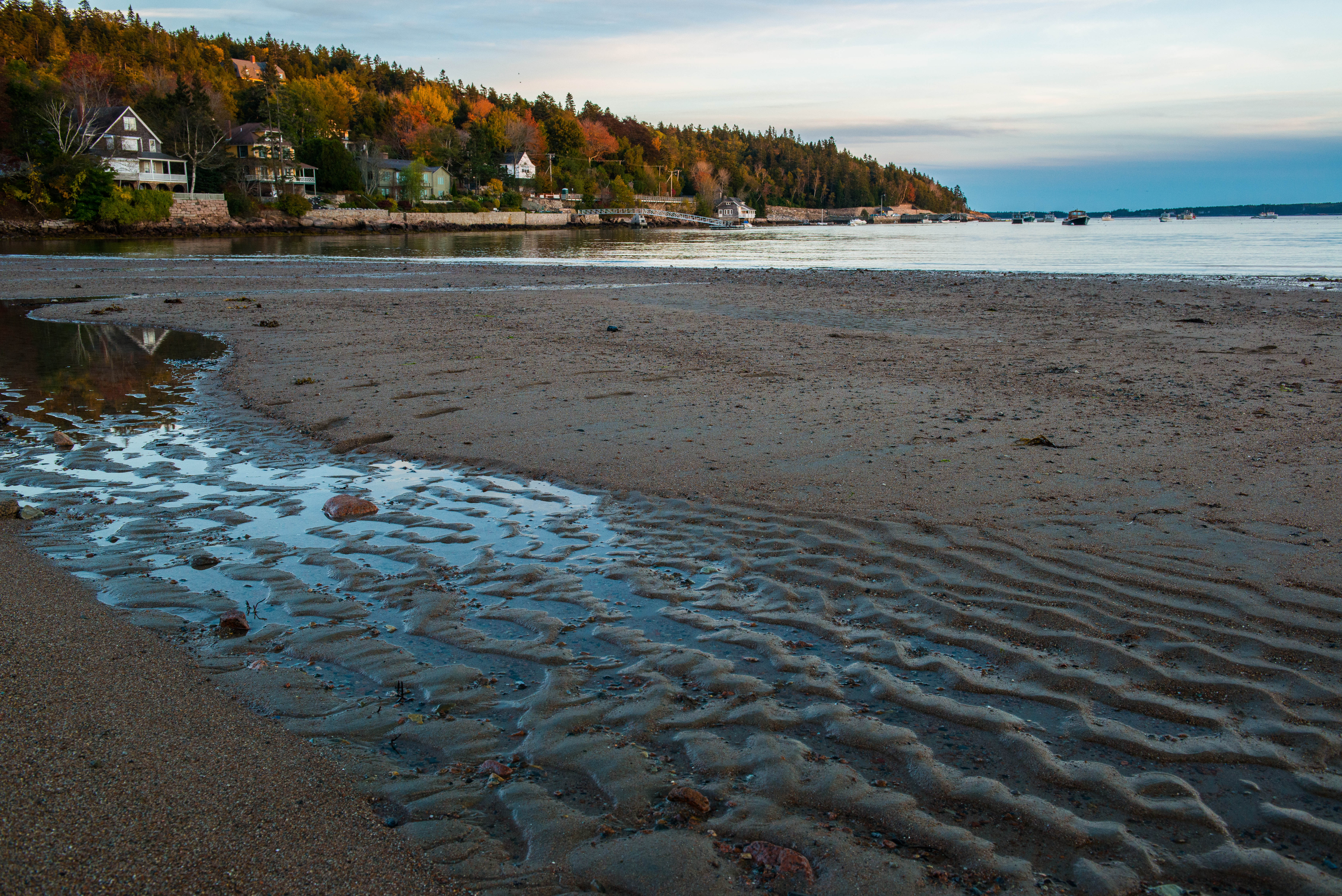 Seal Harbor