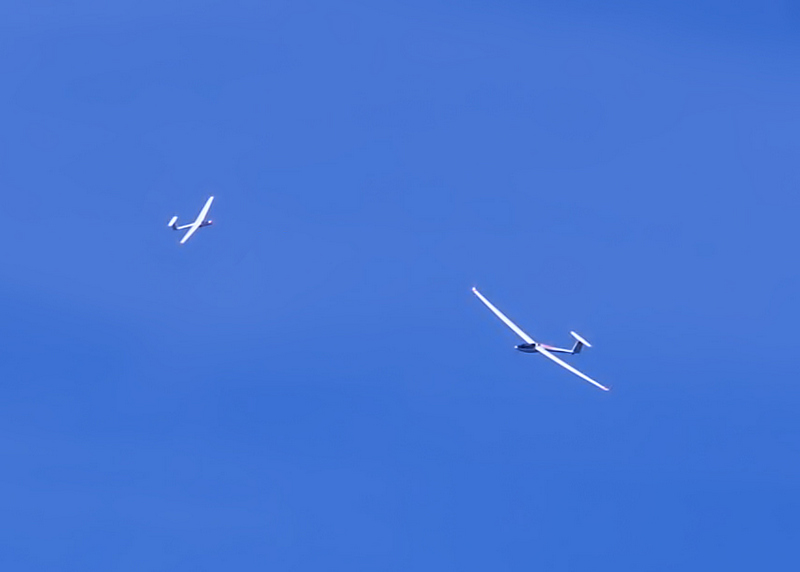 Gliders Over the Danube