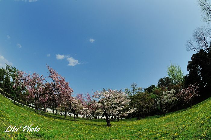 DSC_8935.jpg