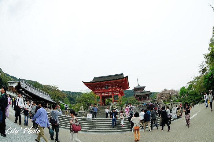 DSC_9398.jpg